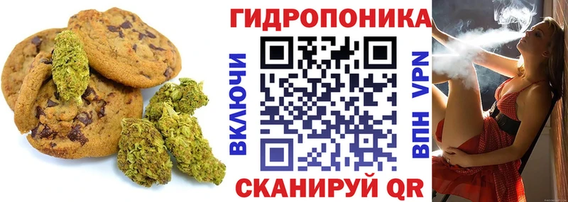 цены наркотик  Кашира  Еда ТГК конопля 