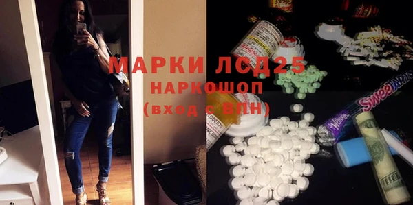 индика Медногорск