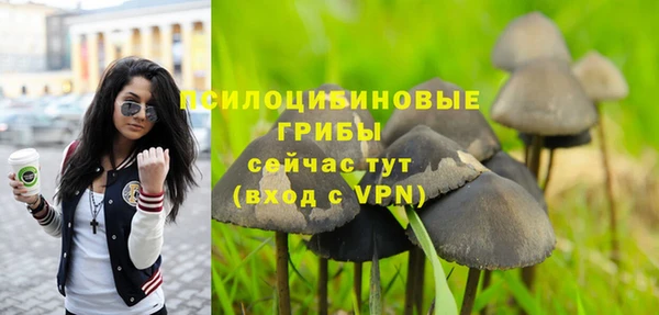 мяу мяу мука Медвежьегорск