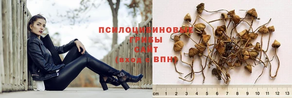 apvp Мегион
