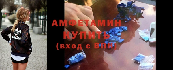 индика Медногорск