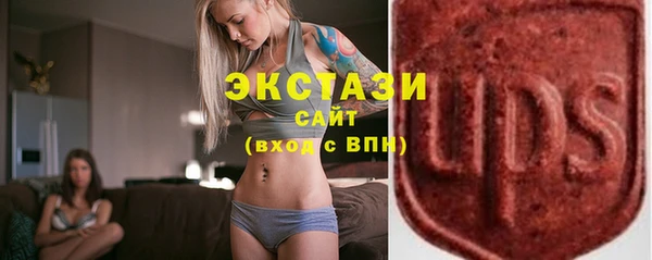 индика Медногорск