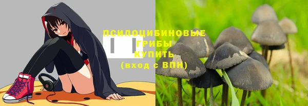 a pvp Магас