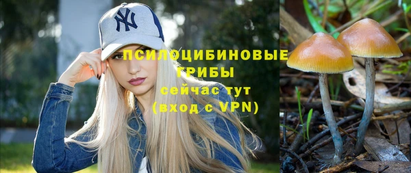 apvp Мегион