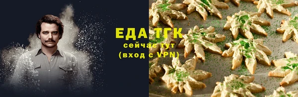 индика Медногорск