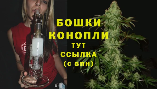 apvp Мегион