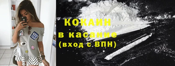 индика Медногорск