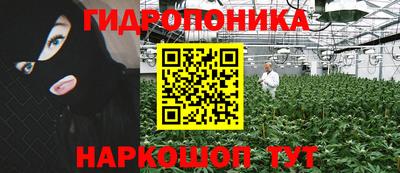 крисы Кандалакша