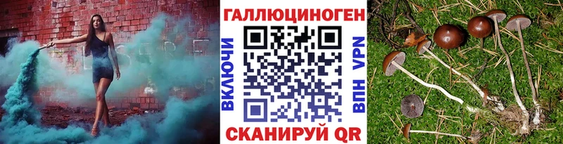 Псилоцибиновые грибы прущие грибы  Кашира 