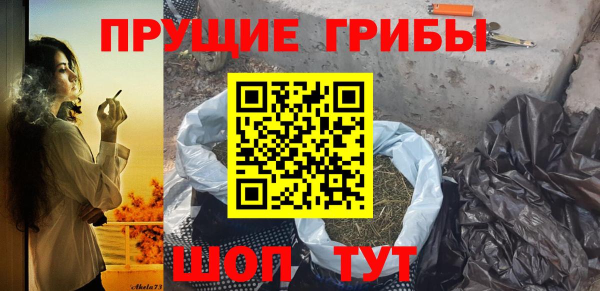 Галлюциногенные грибы MAGIC MUSHROOMS Кашира