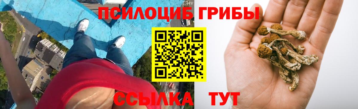 Галлюциногенные грибы Magic Shrooms  Кашира 