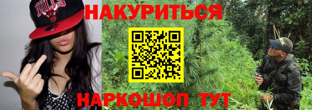 Марихуана Ganja  Конопля марихуана  Бошки марихуана планчик  Кашира 